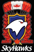 2018Skyhawks_patch.jpg (28449 bytes)